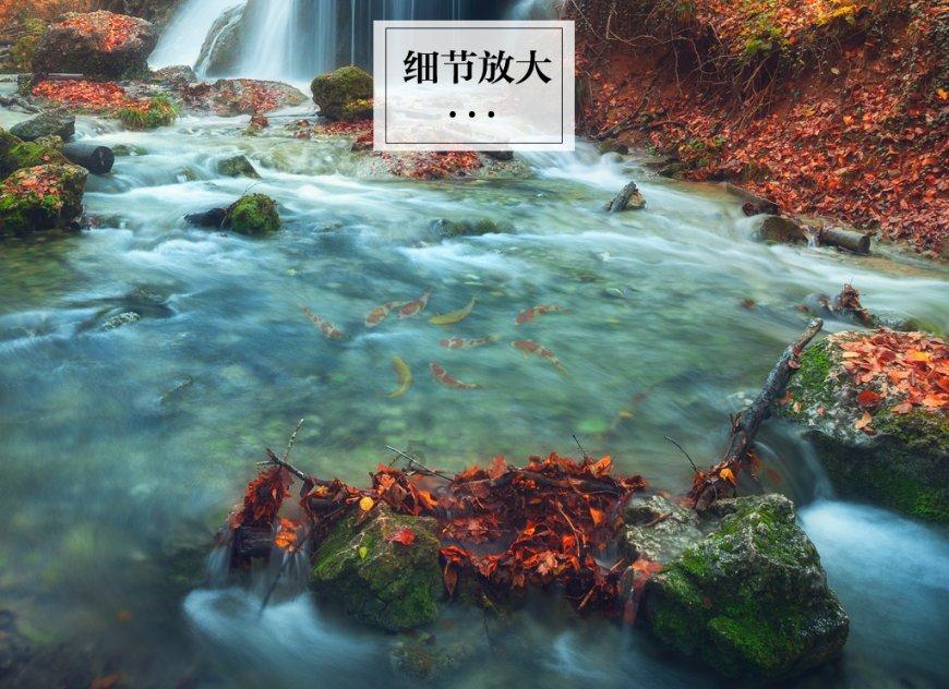 lpl买押注那个app靠谱点的
